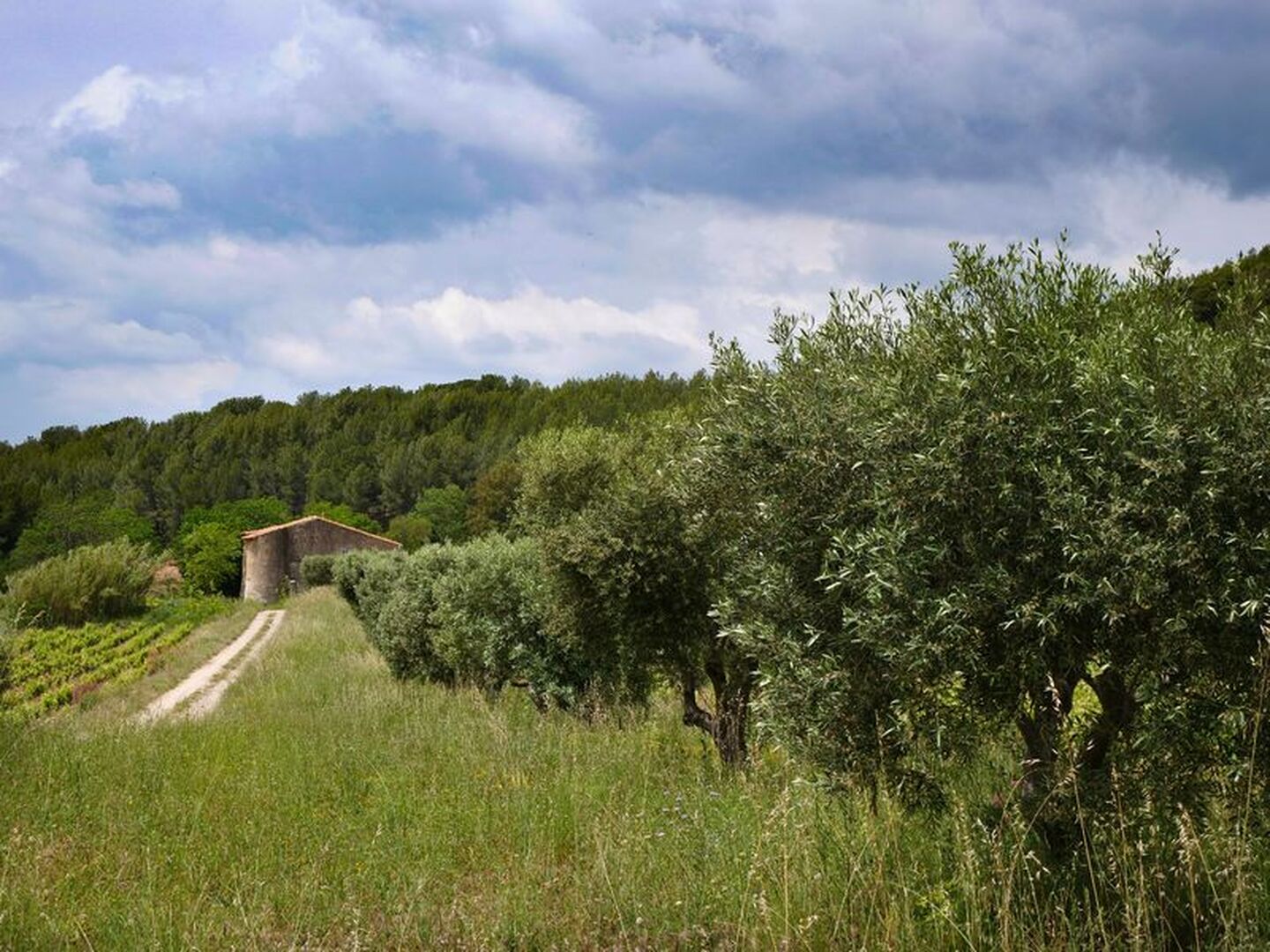 Balade nature commentée du domaine de Nartette