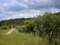 Balade nature commentée du domaine de Nartette