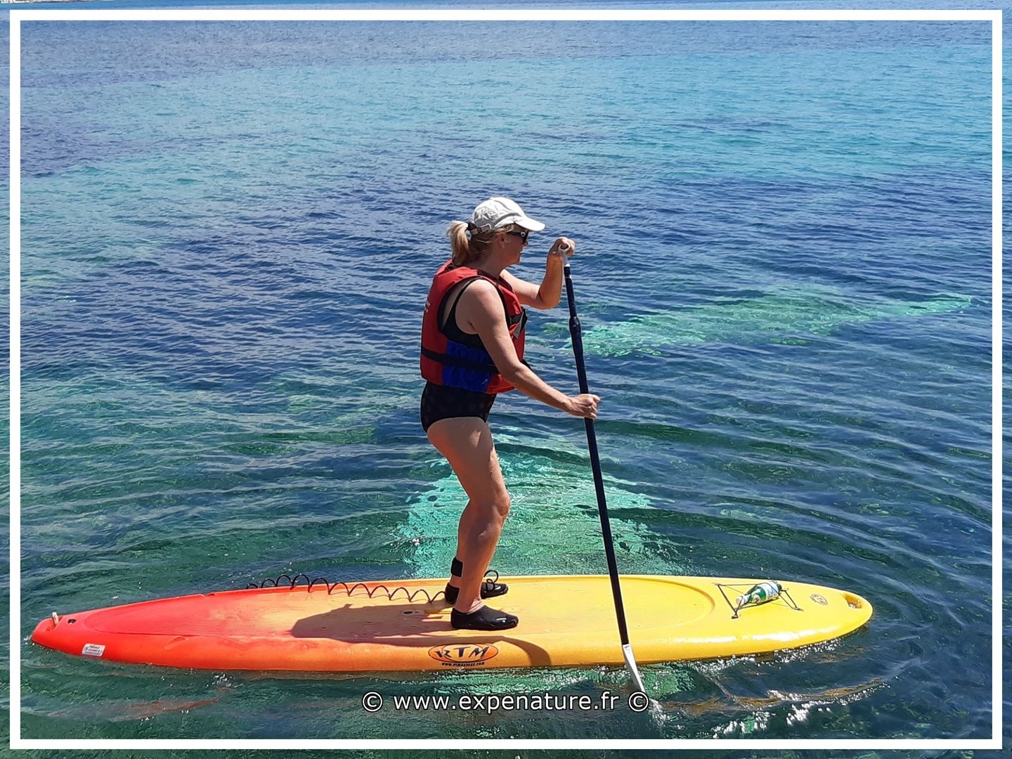 Escapade encadrée en paddle avec ExpéNature